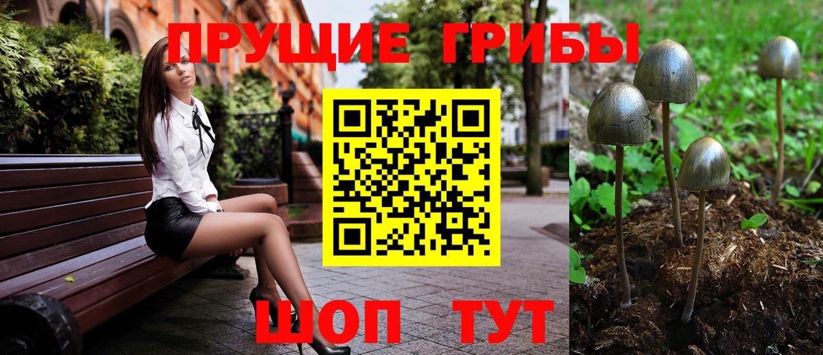 как найти   Вход с VPN  Псилоцибиновые грибы GOLDEN TEACHER  Ногинск  Галлюциногенные грибы ЛСД 